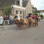 ringriderij (7)